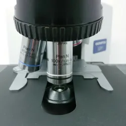 Olympus BX41 Compound Microscope with Binocular Head and Plan Objectives, 3 of 4