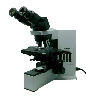 Olympus BX40 Upright Microscope with Tilting Binocular Head and 100x Oil Objective