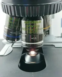 Olympus BX51 Fluorescence and Phase Contrast Trinocular Microscope, 6 of 9