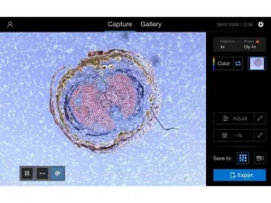 Thermo Fisher EVOS M3000 Phase Contrast and Fluorescence Microscope Imaging System, 4 of 21