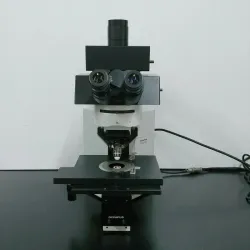 Olympus BX50WI Upright Fluorescence Microscope with Water Immersion and Multiple Illumination Options, 3 of 11