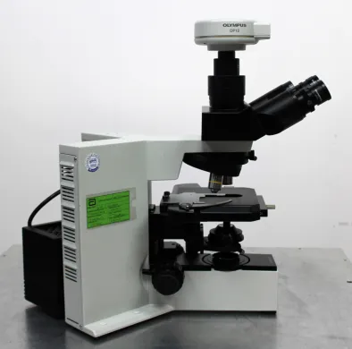 Olympus BX50F4 Optical Microscope with 10x/0.25 and 4x/0.10 Objective Lenses
