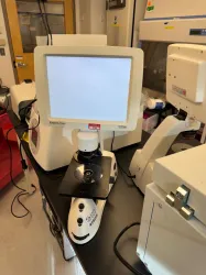 Invitrogen Evos XL Core Inverted Fluorescence Microscope for Cell Imaging, 3 of 3