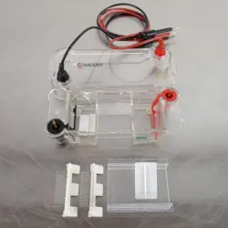 Bio-Rad Mini Sub Cell GT, 3 of 4