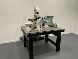 Carl Zeiss Axiovert 200M Inverted Trinocular Fluorescence Microscope with Motorized Stage, 3 of 4