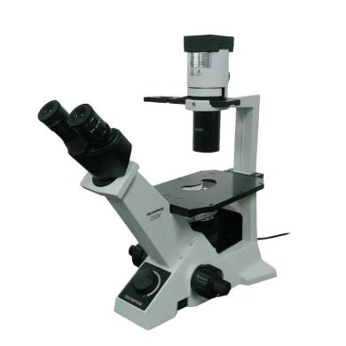 Olympus CK30 Inverted Microscope with Phase Contrast and Binocular Head-cover
