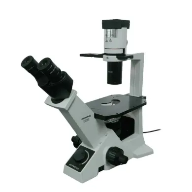 Olympus CK30 Inverted Microscope with Phase Contrast and Binocular Head