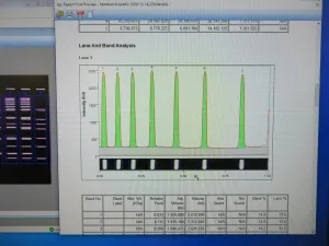 Bio-Rad Gel Doc XR+ Gel Documentation and Imaging System, 4 of 22