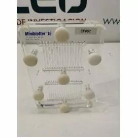 Immunetics MiniBlotter 16 Multi-Channel Blotting Device