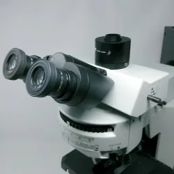 Olympus BX51 Optical Microscope with DIC and Fluorescence Capabilities, 5 of 12