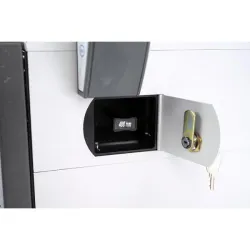 Picometrics LIV-VI-01 Zetalif Laser Evolution Detector, 6 of 9