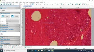 VWR VistaVision Inverted Trinocular Phase Contrast Microscope with Integrated Digital Imaging, 10 of 14