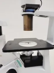 Optika XDS-2 Inverted Microscope, 11 of 21