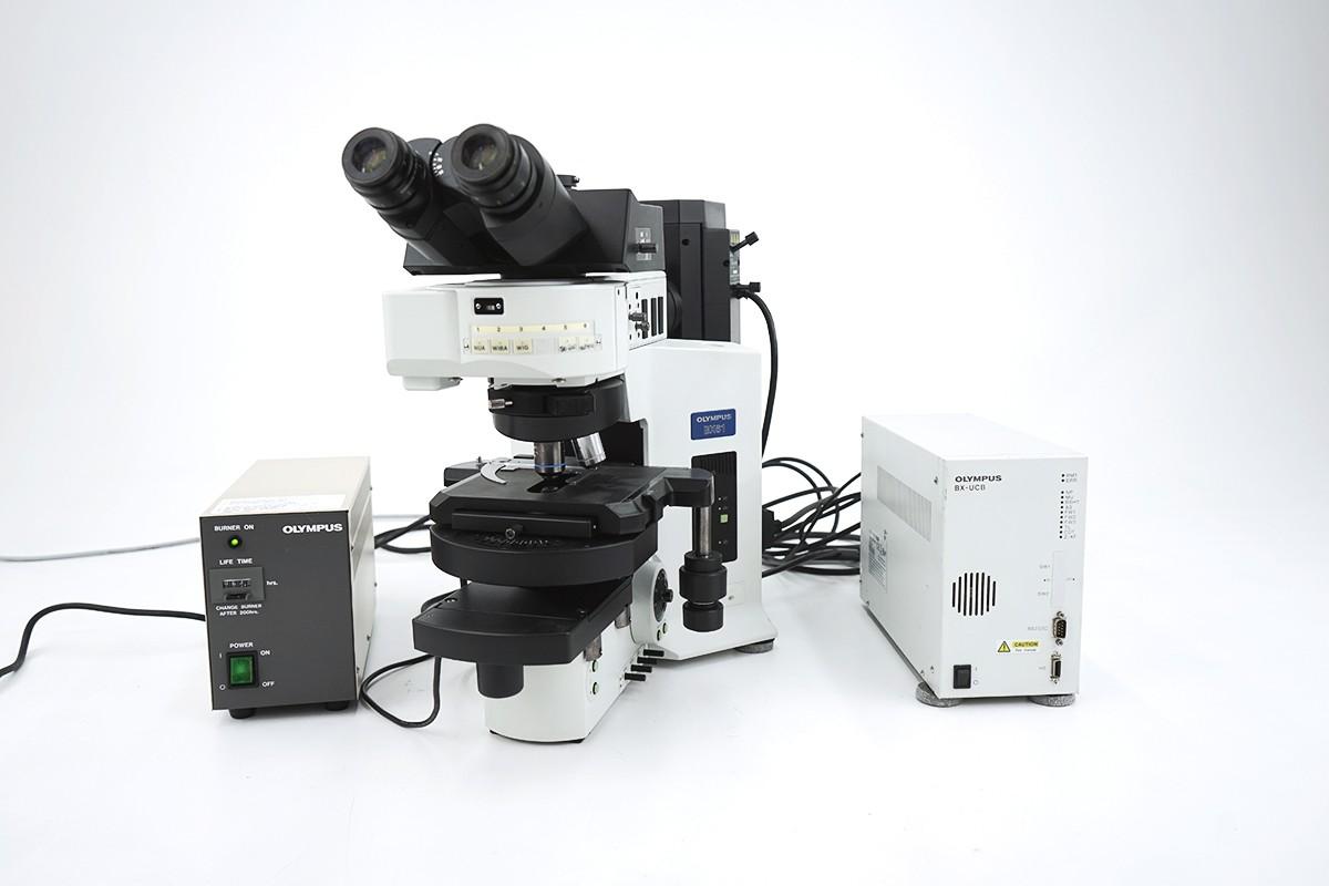 Olympus BX61 Motorized Fluorescence Research Microscope
