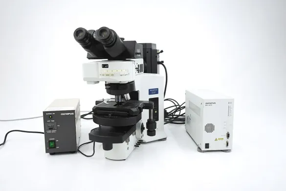 Olympus BX61 Motorized Fluorescence Research Microscope