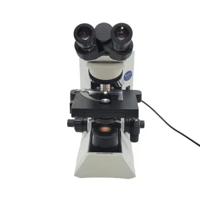 Olympus Microscope CX31 with 4x, 10x, 20x, and 40x Objectives