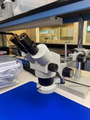 Stereo Microscope with Binocular Head and Articulated Arm Stand for Precise Laboratory Inspection-cover