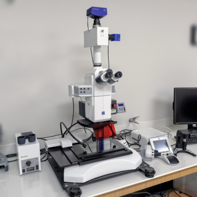 Zeiss Axio Zoom.V16-cover