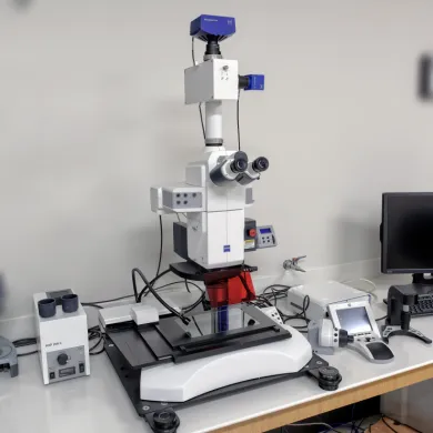 Zeiss Axio Zoom.V16
