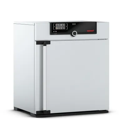 Memmert IF110 Forced Circulation Incubator 108L, 115V