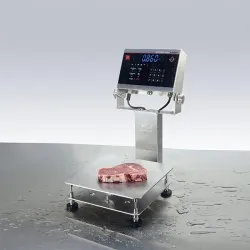 Advanced IP68/IP69K Washable Bench Scale, 4 of 13
