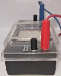 Pharmacia GNA-100 Horizontal Agarose Gel Electrophoresis Chamber, 2 of 4