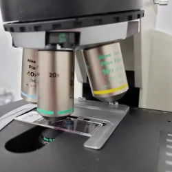 Nikon E600 Microscope with DIC and Fluorescence capabilities, 3 of 10