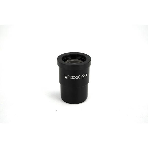Euromex WF10X/20 Widefield Eyepieces