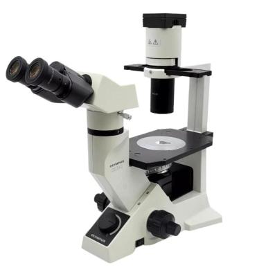 Olympus CKX41 Inverted Phase Contrast Microscope for Tissue Culture-cover