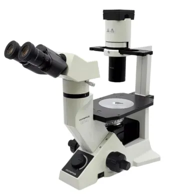 Olympus CKX41 Inverted Phase Contrast Microscope for Tissue Culture
