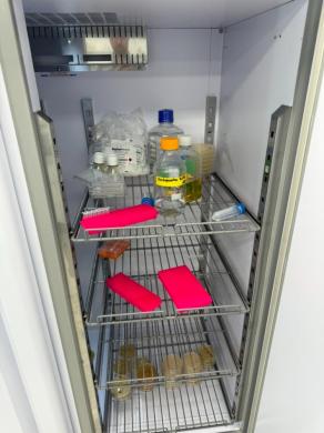 K2 Scientific Double Door Laboratory Refrigerator for Cold Storage-cover