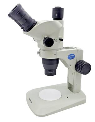 Olympus Stereo Microscope SZ61 with Trinocular Head and Camera Port-cover