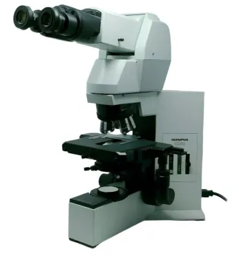 Olympus BX40 Compound Microscope with Tilting Telescoping Head and 2x Objective