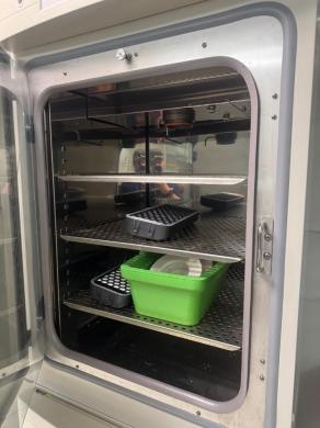 Thermo Forma Steri-Cult Double Stack CO2 Incubator-cover