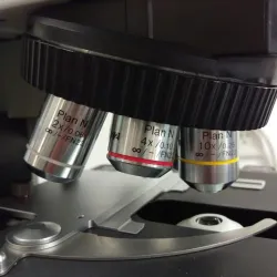 Olympus Microscope BX41 with Trinocular Head and 2x Objective for Pathology, 5 of 8