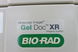Bio-Rad Gel Doc XR and XR+ CCD-Based Gel Documentation Imaging Systems, 14 of 16