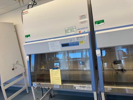 Thermo 1300 Series A2 4' BioSafety Cabinet-cover