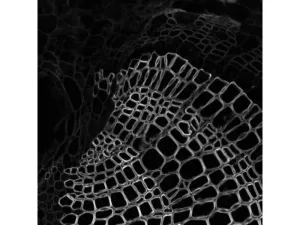 Thermo Scientific CellInsight CX7 LZR Confocal High Content Analysis Platform, 12 of 21