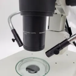 Olympus SZX12 Trinocular Stereo Microscope with Transmitted and Reflected Illumination, 6 of 8
