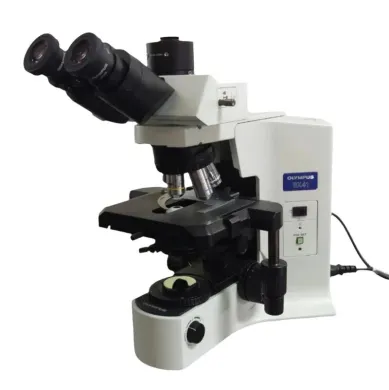 Olympus BX41 Trinocular Compound Microscope with Camera Options