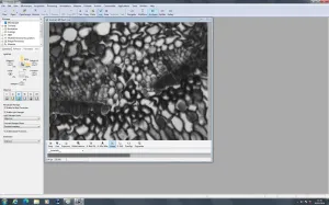 Zeiss PALM MicroBeam Laser Microdissection System with PC and Software, 16 of 109