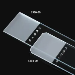 Globe Scientific Frosted Diamond® White Glass Microscope Slides 1384-20, 2 of 2