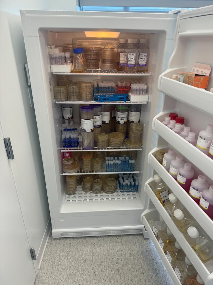 Frigidaire Laboratory Refrigerator for Sample and Reagent Storage
