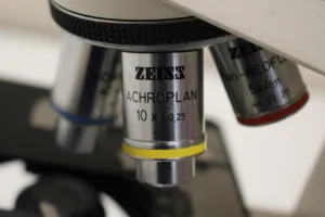 Zeiss Axiolab Trinocular Transmitted Light Microscope with Halogen Illumination, 4 of 7