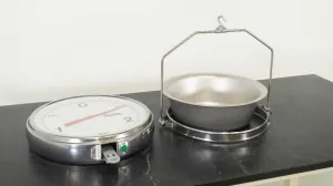 Chatillon 316L Hanging Scale, 3 of 4
