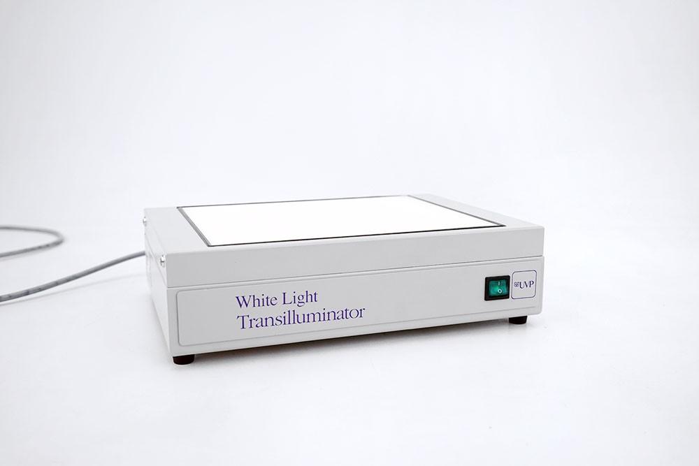 UVP TW-26 White Light Transilluminator 95-0208-02