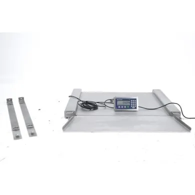 Mettler Toledo PUA579-CS300 ICS439i Precision Balance