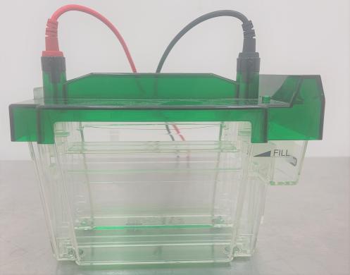 Bio-Rad Criterion Cell Electrophoresis System for Gel Analysis and 2D Applications-cover