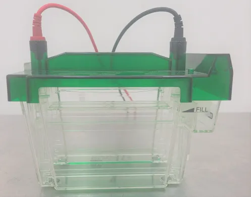 Bio-Rad Criterion Cell Electrophoresis System for Gel Analysis and 2D Applications