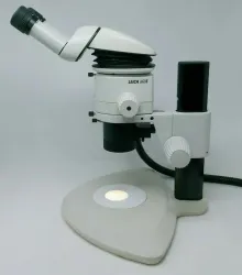 Leica Microscope MZ6 with Tilting Head and Illuminator, 3 of 10